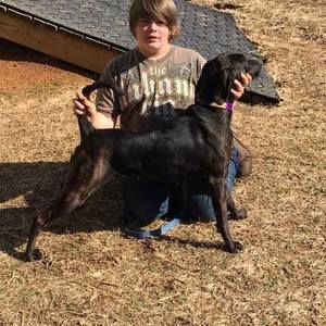 Meet your Posher, Kaynen